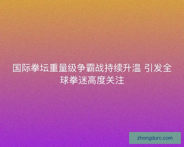 国际拳坛重量级争霸战持续升温 引发全球拳迷高度关注