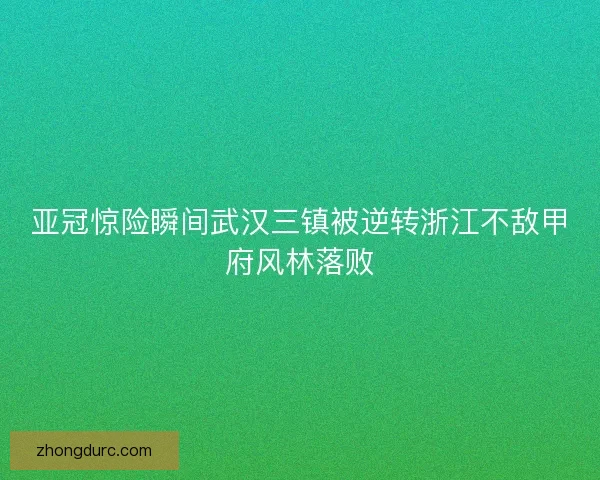 亚冠惊险瞬间武汉三镇被逆转浙江不敌甲府风林落败 亚冠惊险瞬间武汉三镇被逆转浙江不敌甲府风林落败