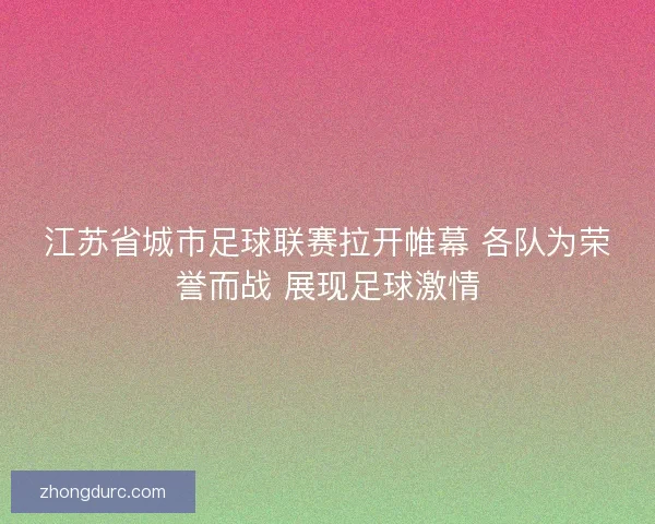 江苏省城市足球联赛拉开帷幕 各队为荣誉而战 展现足球激情